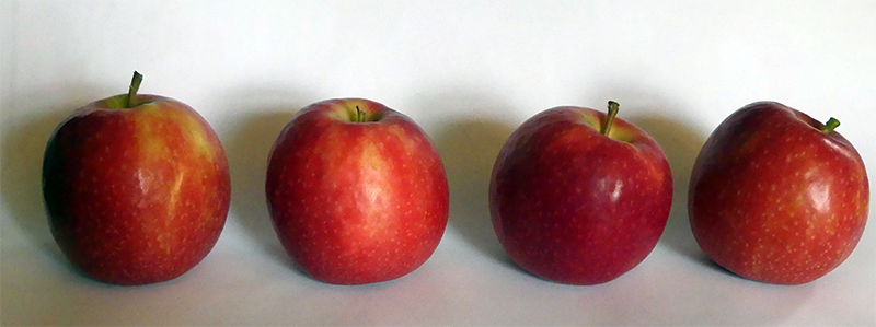 Four apples